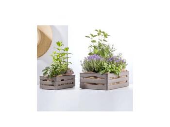 TINA 3 CASSETTINA TORTORA   Alessandrelli Business Solutions