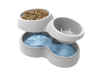 HULA DOG   Alessandrelli Business Solutions