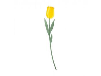 TULIPANO GRANDE GIALLO FUN   Alessandrelli Business Solutions