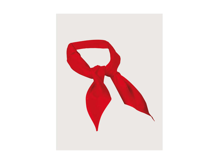 FAZZOLETTO ATON UX PZ.3 COT.BORDEAU 