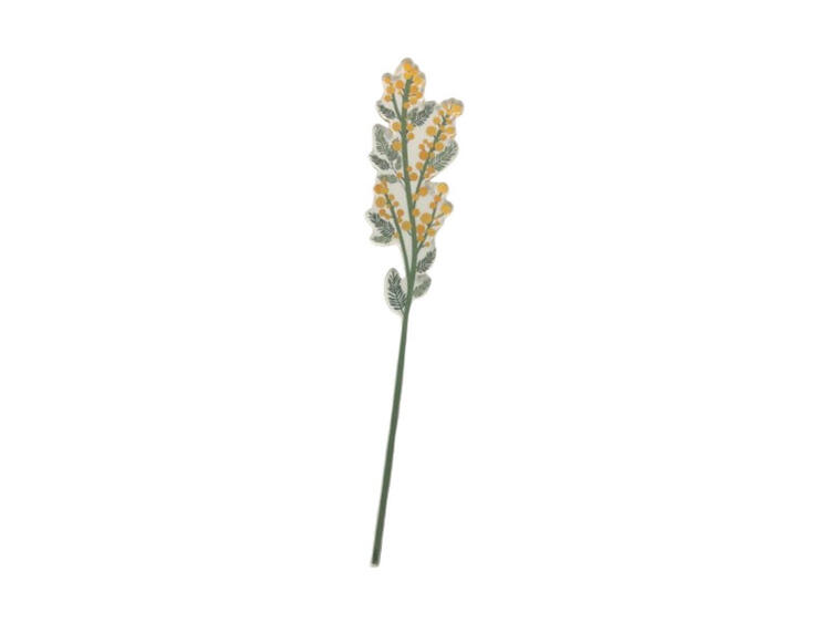 MIMOSA PICCOLA GIALLA FUNNY 