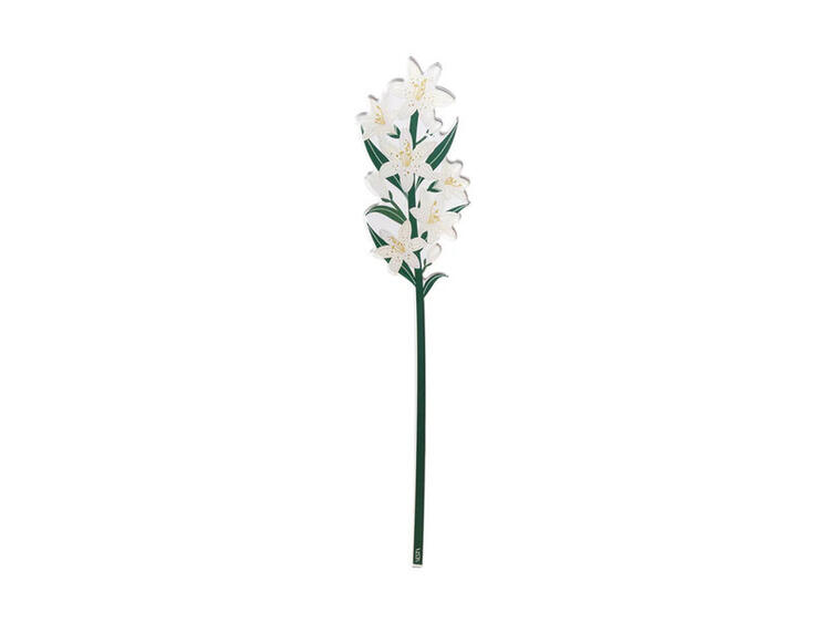 GIGLIO PICCOLO BIANCO FUNNY FLOWER 
